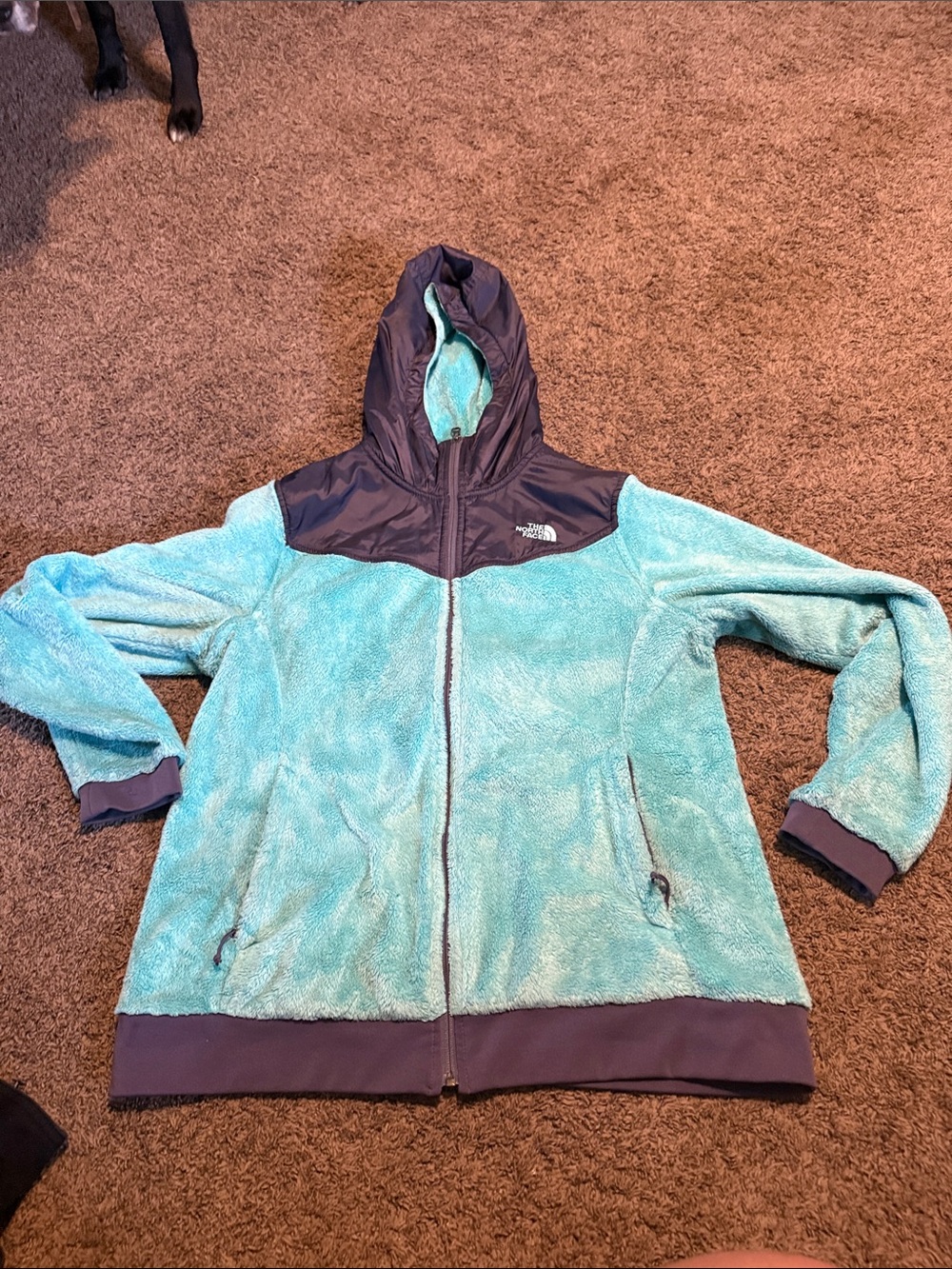 The North Face Aqua and Grey Teddy Fleece Hooded Jacket